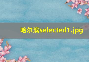 哈尔滨selected