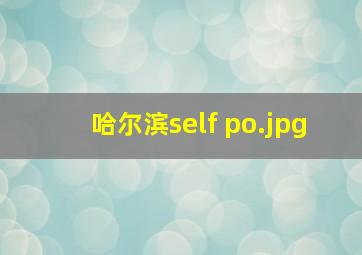 哈尔滨self po