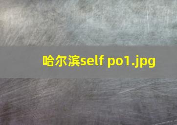 哈尔滨self po