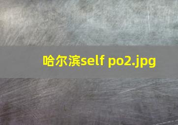 哈尔滨self po
