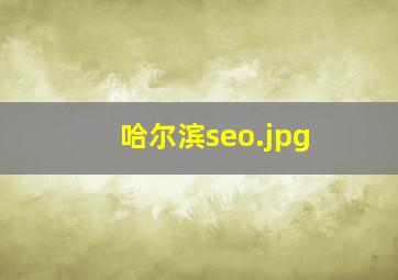 哈尔滨seo