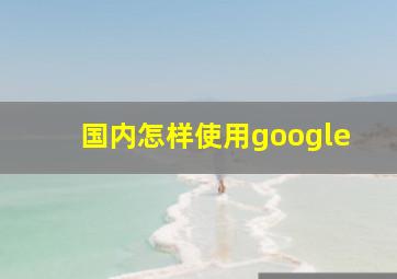 国内怎样使用google