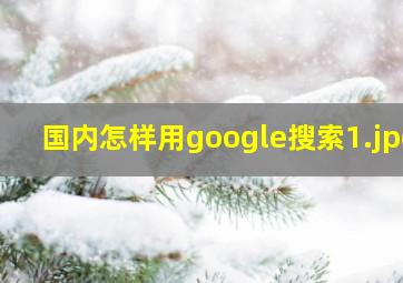 国内怎样用google搜索