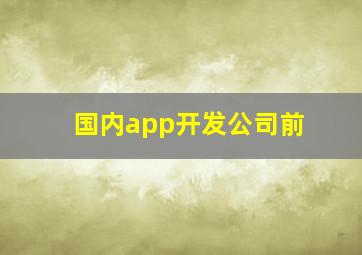 国内app开发公司前