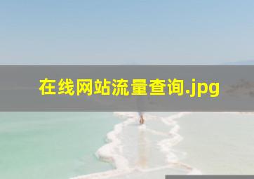 在线网站流量查询