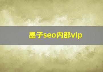 墨子seo内部vip