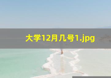 大学12月几号