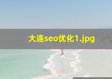 大连seo优化