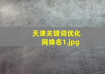 天津关键词优化网排名