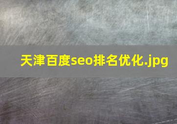天津百度seo排名优化