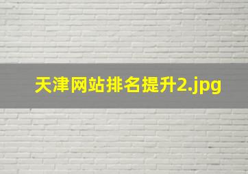 天津网站排名提升