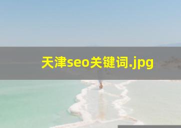 天津seo关键词