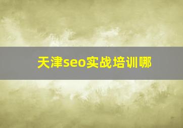 天津seo实战培训哪