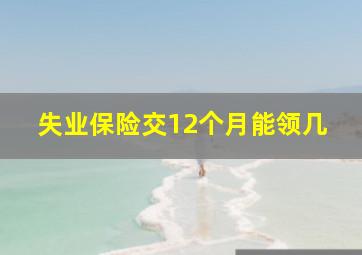 失业保险交12个月能领几
