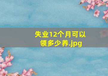 失业12个月可以领多少养