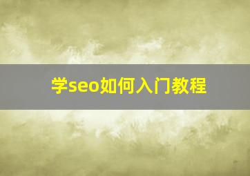 学seo如何入门教程