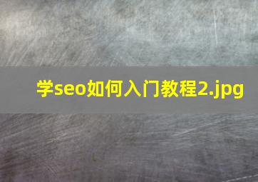学seo如何入门教程