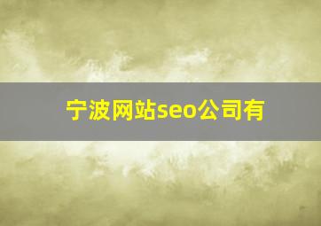 宁波网站seo公司有