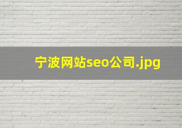 宁波网站seo公司