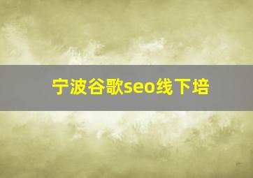 宁波谷歌seo线下培