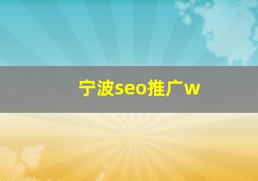宁波seo推广w