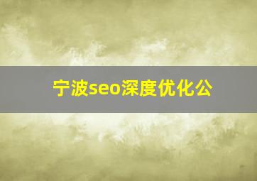 宁波seo深度优化公