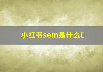 小红书sem是什么�