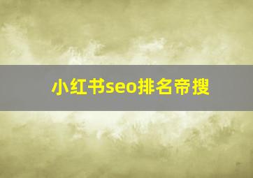 小红书seo排名帝搜