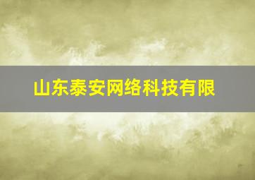山东泰安网络科技有限
