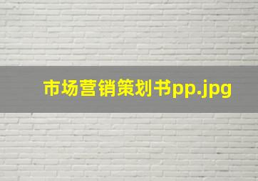 市场营销策划书pp