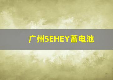 广州SEHEY蓄电池