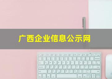 广西企业信息公示网
