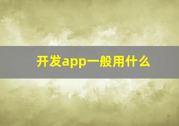 开发app一般用什么