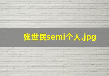 张世民semi个人