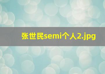 张世民semi个人