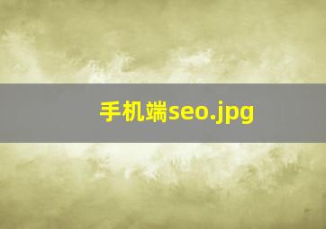 手机端seo