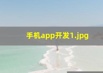手机app开发