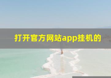 打开官方网站app挂机的