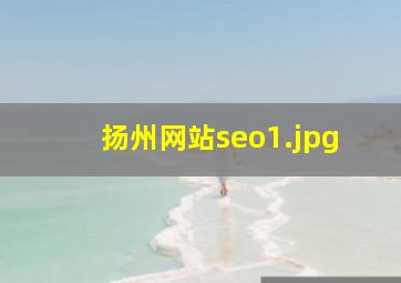 扬州网站seo
