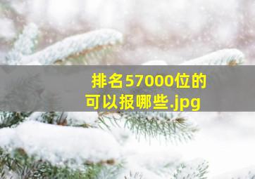排名57000位的可以报哪些