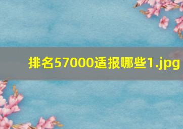 排名57000适报哪些