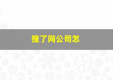搜了网公司怎