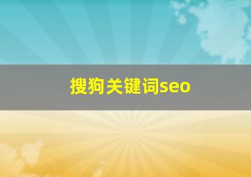 搜狗关键词seo
