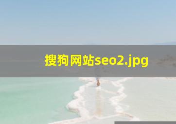 搜狗网站seo