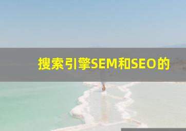 搜索引擎SEM和SEO的