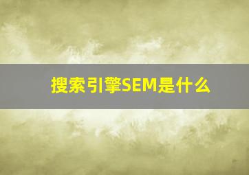 搜索引擎SEM是什么