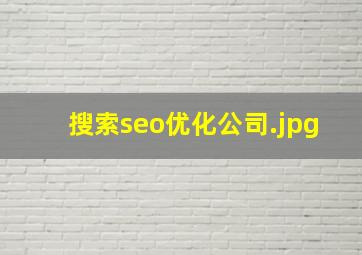 搜索seo优化公司