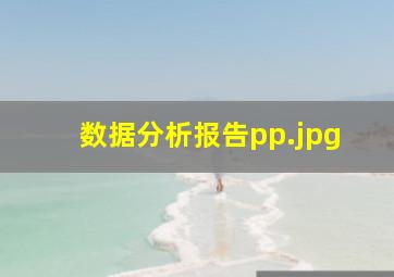 数据分析报告pp