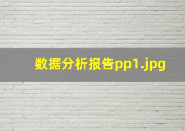 数据分析报告pp