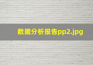 数据分析报告pp